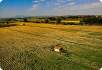 Agricultural land